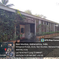 Mangroves cleaning (2)