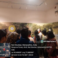 Mangroves cleaning (4)